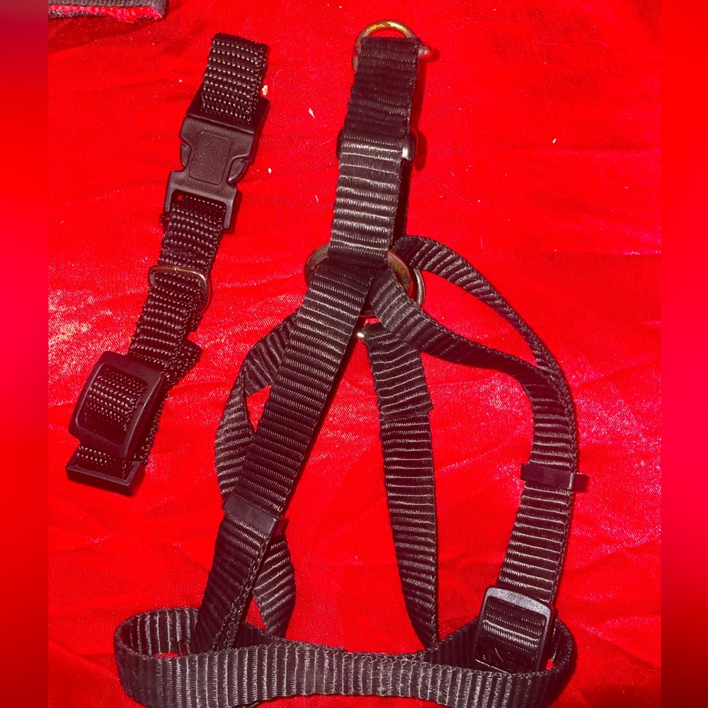 XS dog collar and harness bundle!